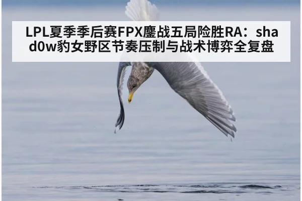 LPL夏季季后赛FPX鏖战五局险胜RA:shad0w豹女野区节奏压制与战术博弈全复盘