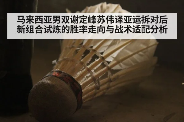 马来西亚男双谢定峰苏伟译亚运拆对后 新组合试炼的胜率走向与战术适配分析